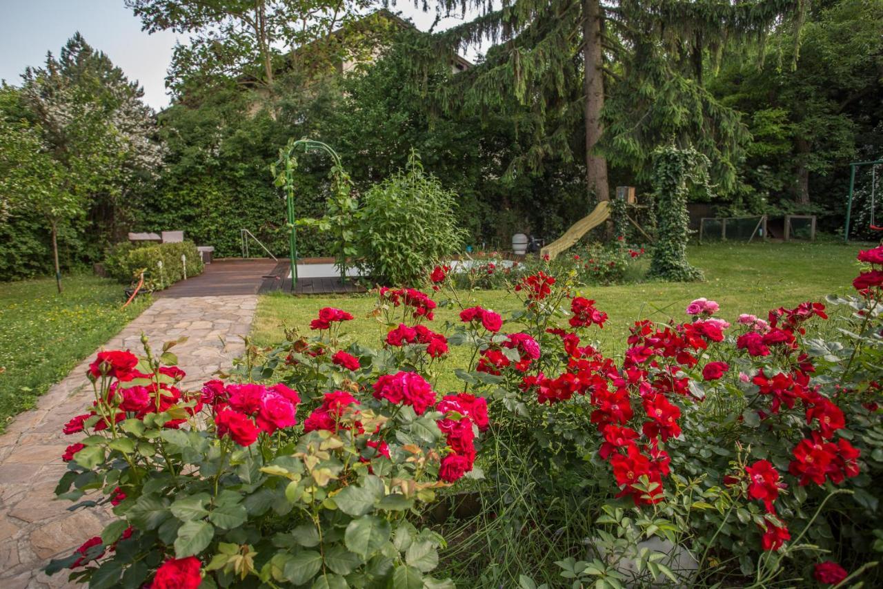 Huebsches Privatzimmer Mit Bad Perchtoldsdorf Buitenkant foto